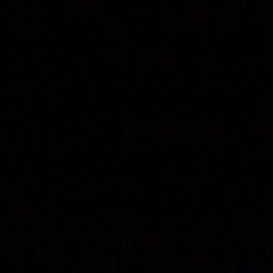 Meet your Posher, Dalton